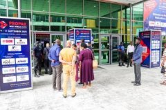 正是中国企业抓住这一波